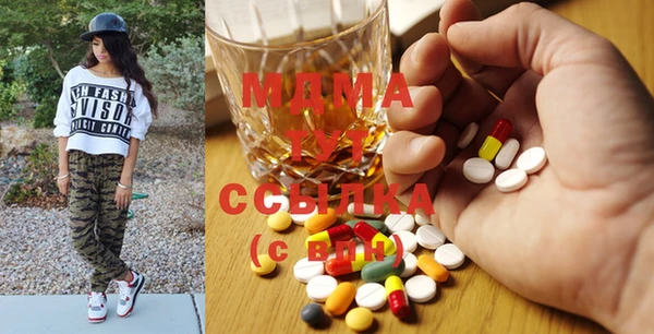 прущие грибы Сосновый Бор