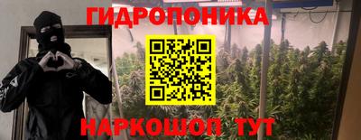 Альфа ПВП Краснознаменск