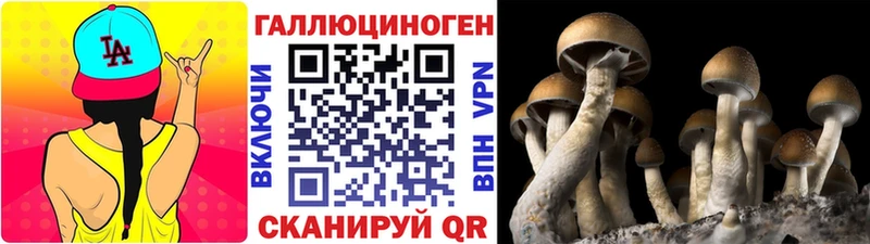 Псилоцибиновые грибы прущие грибы  купить наркотики сайты  Коркино 