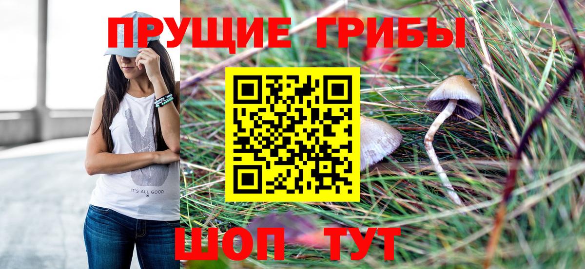 Псилоцибиновые грибы Psilocybine cubensis Коркино