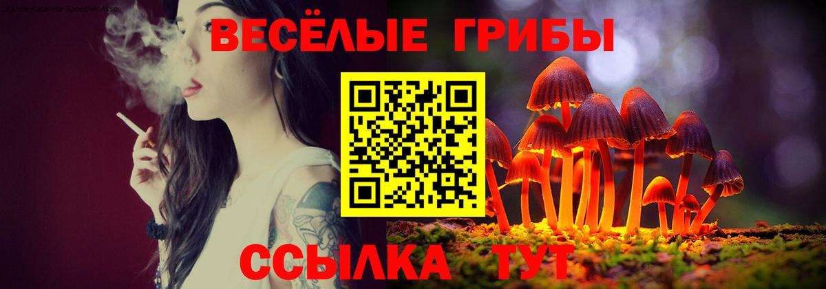 Галлюциногенные грибы Psilocybe  магазин  наркотиков  Коркино  Вход с VPN 